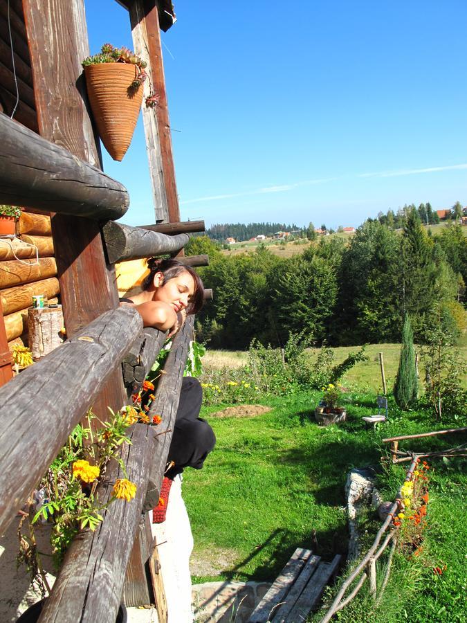 Mountain House Villa Mala Reka Kültér fotó