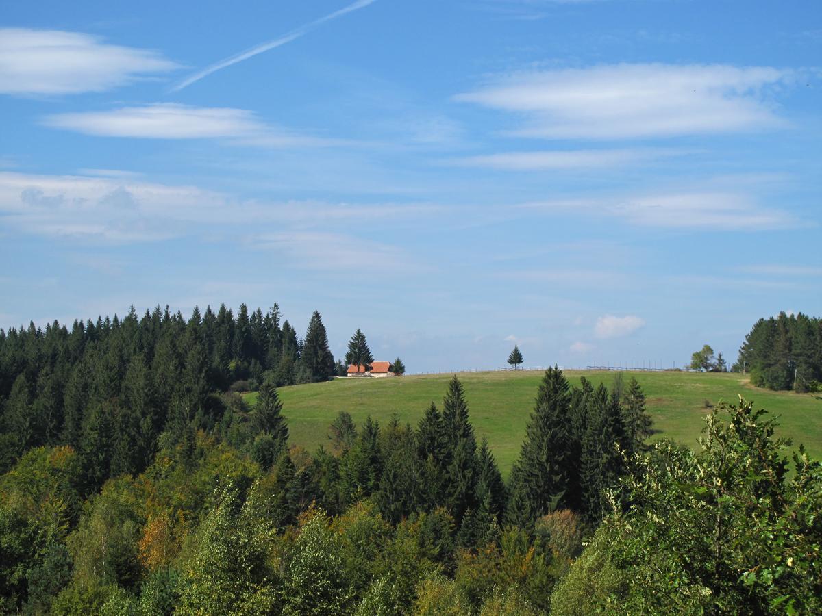 Mountain House Villa Mala Reka Kültér fotó